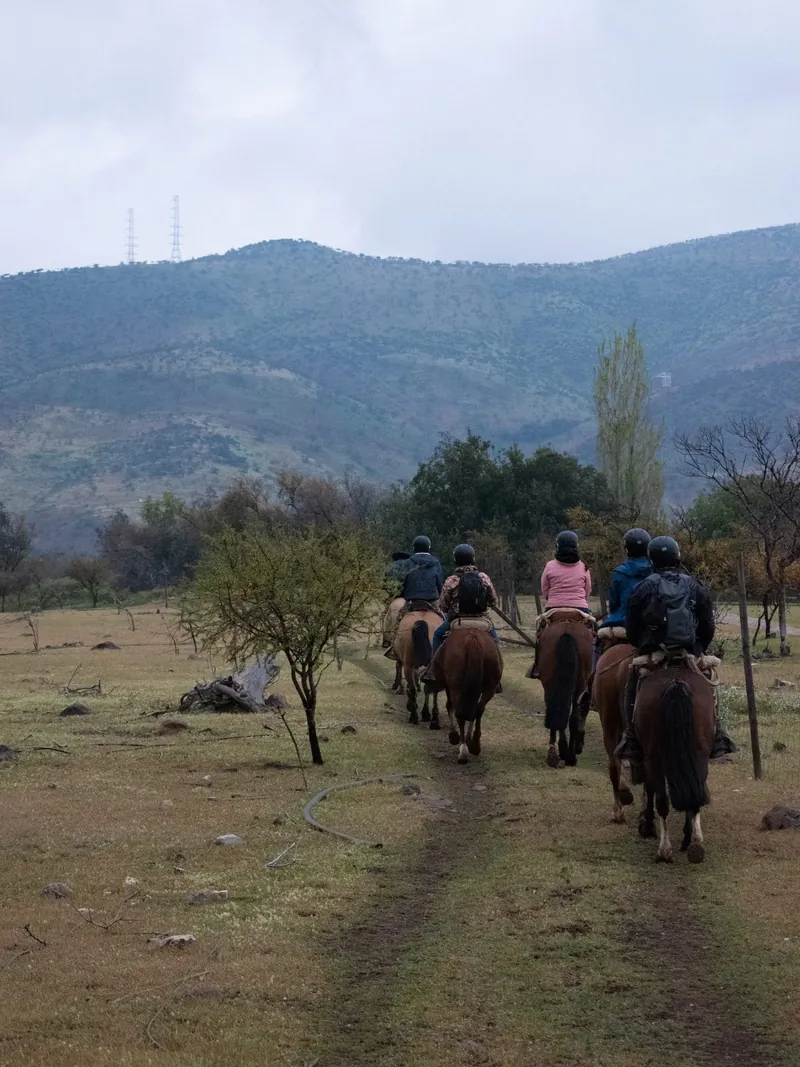 Cabalgata básica en el Valle de Colina